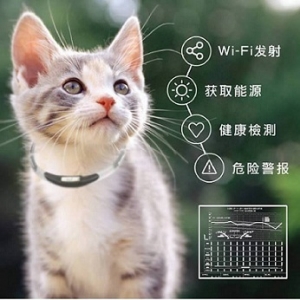 天猫流量猫计划 带猫粮出门就能换流量